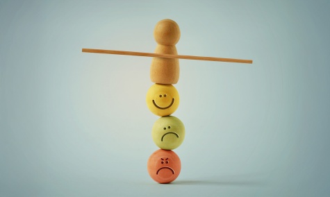 Биполярное расстройство: биологическкие механизмы нарушений регуляции эмоций