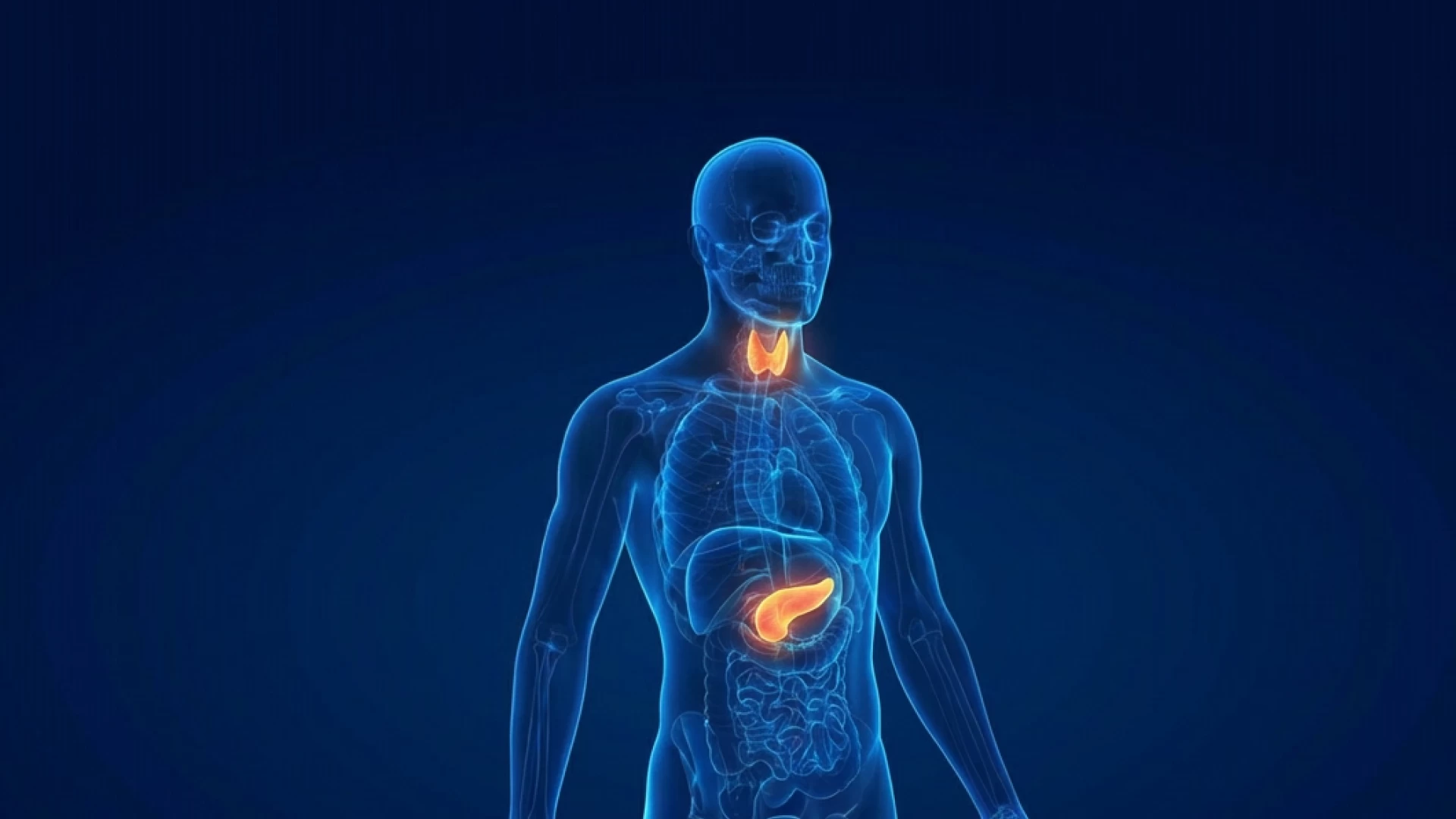 Medica mente. Вопросы из клинической практики. Эндокринология. Выпуск 3