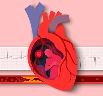 Фармакокинетические особенности кардиологических препаратов