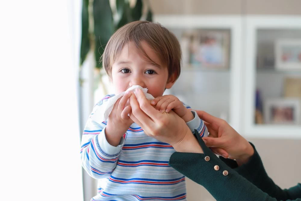 Инфекции и аллергия: разрываем порочный круг