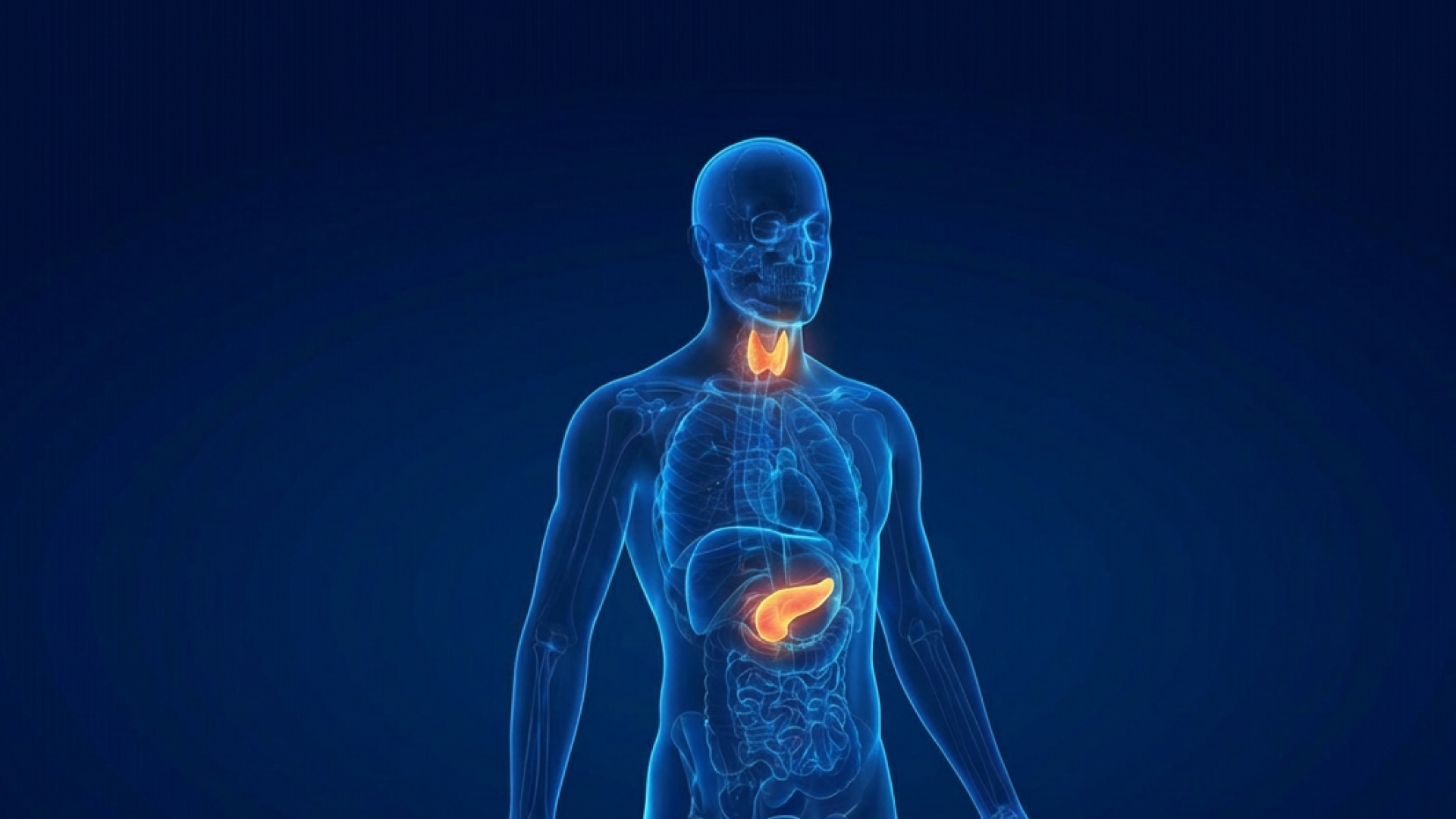Medica mente. Вопросы из клинической практики. Эндокринология. Выпуск 2