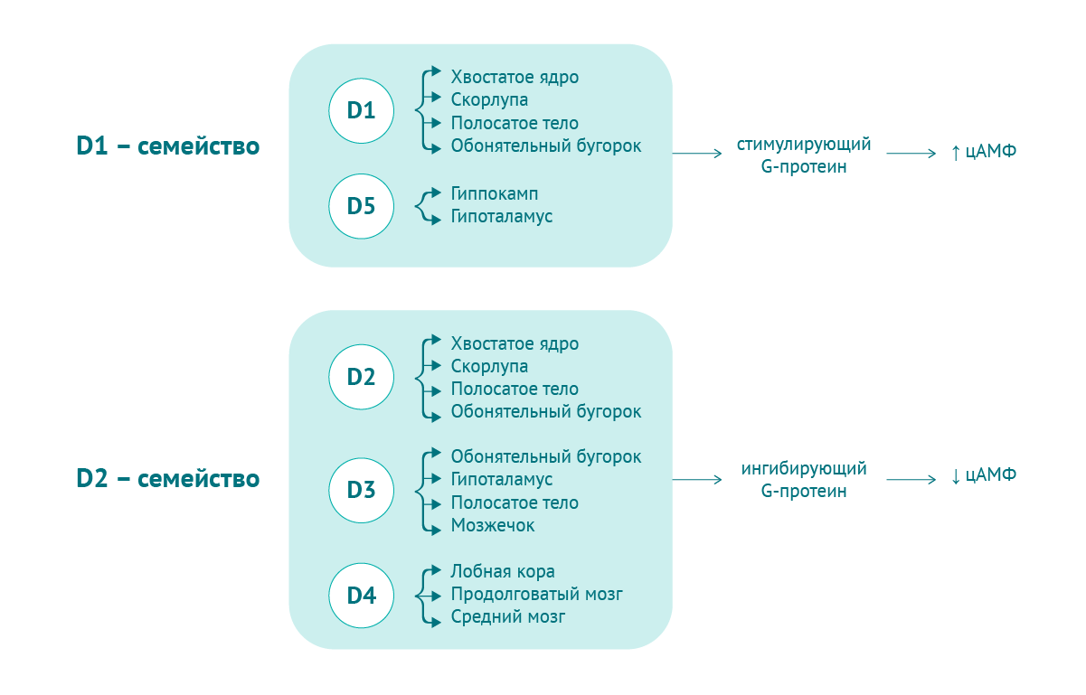 Картинка спецпроектов