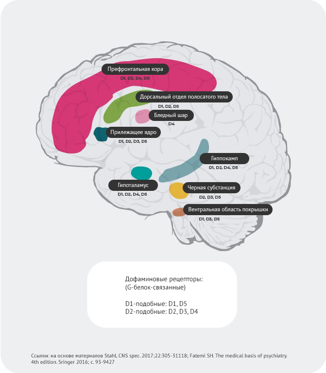 Нехватка дофамина симптомы. Дофамин мозг. Дофамин зависимость. Дофамин 4%. Таблетки которые повышают дофамин.