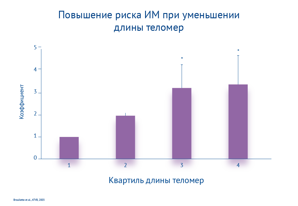 Картинка спецпроектов