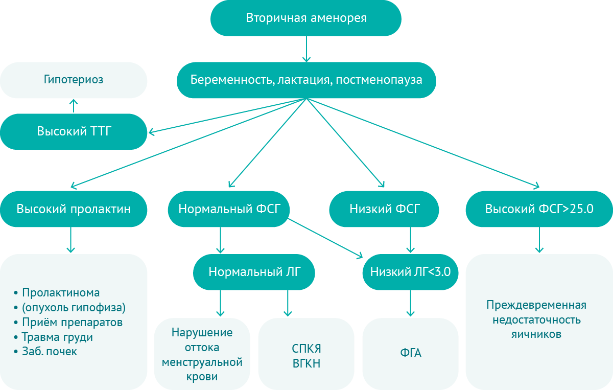 Картинка спецпроектов